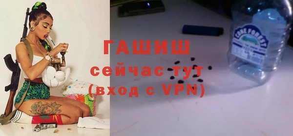 apvp Вяземский
