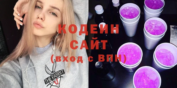 apvp Вяземский