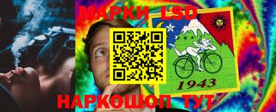 прущие грибы Донецк