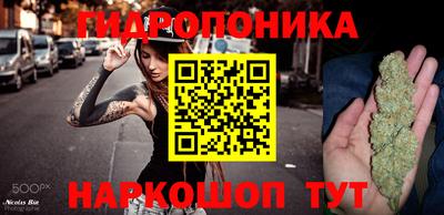 индика Будённовск