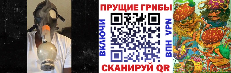 дарнет шоп  Георгиевск  Псилоцибиновые грибы мухоморы 
