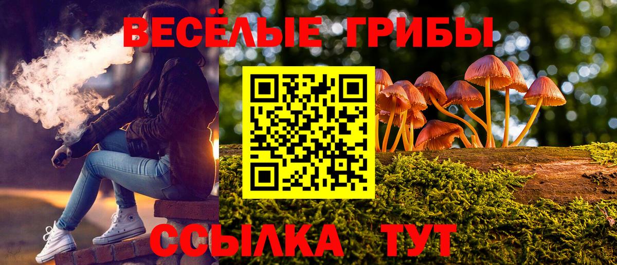 Псилоцибиновые грибы MAGIC MUSHROOMS  Псилоцибиновые грибы Psilocybine cubensis  Георгиевск  Вход с VPN 