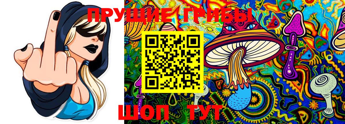 Галлюциногенные грибы Cubensis Георгиевск