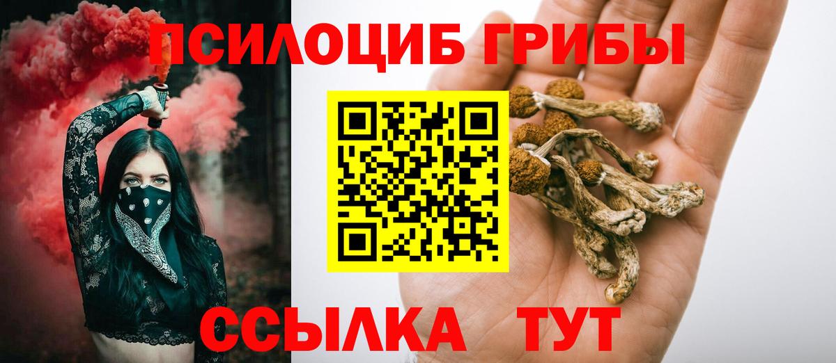 Галлюциногенные грибы мицелий  Георгиевск 